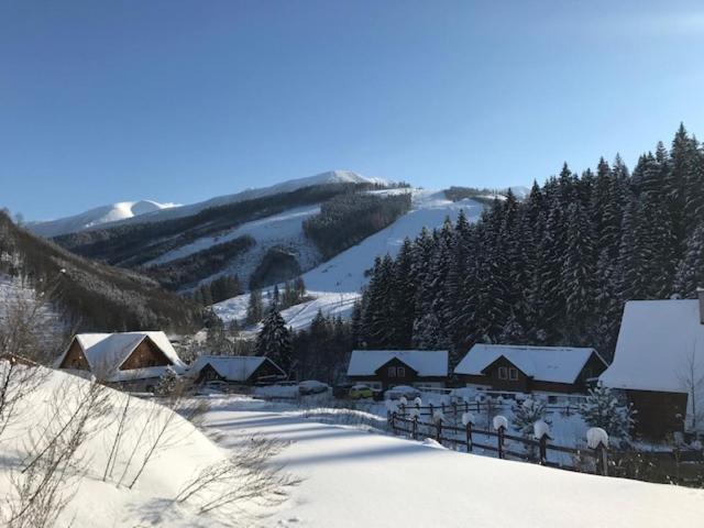 Apartman Grun -Vratna-Paseky Žilina Esterno foto