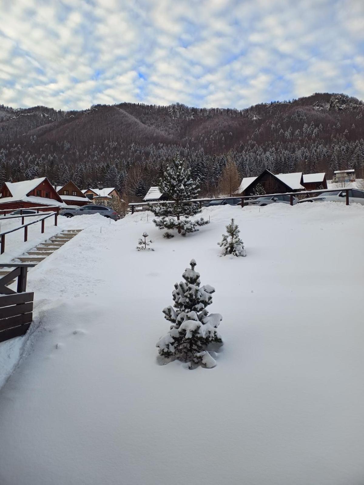 Apartman Grun -Vratna-Paseky Žilina Esterno foto